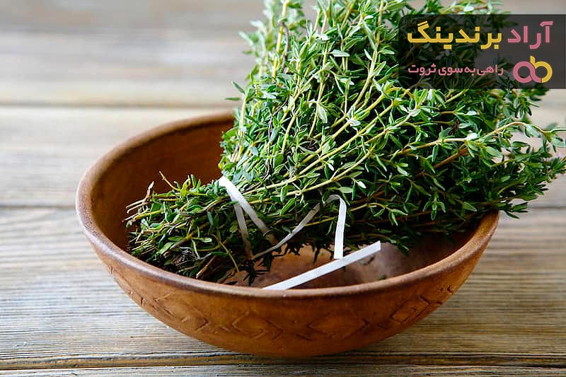 خرید جدیدترین انواع آویشن کوهی با قیمت مناسب