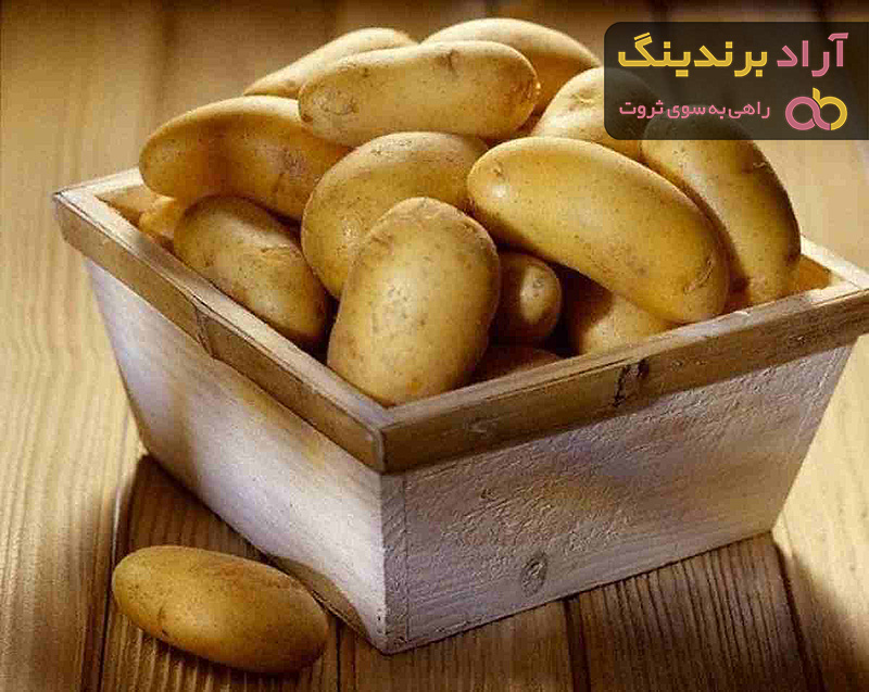 آشنایی با سیب زمینی توپی + قیمت استثنایی خرید سیب زمینی توپی