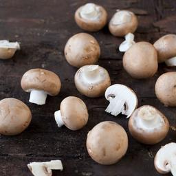 قیمت خرید قارچ صدفی خوراکی + خواص، معایب و مزایا