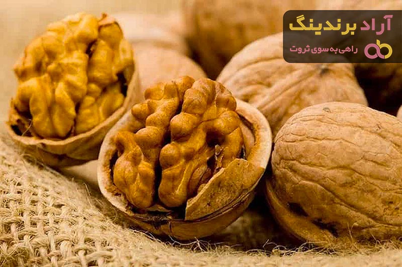 خرید بهترین انواع مغز گردو با قیمت ارزان