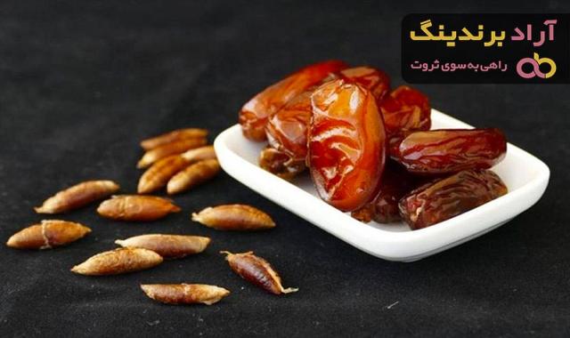 خرید هسته خرما + معرفی کارخانه تولید و عرضه پخش