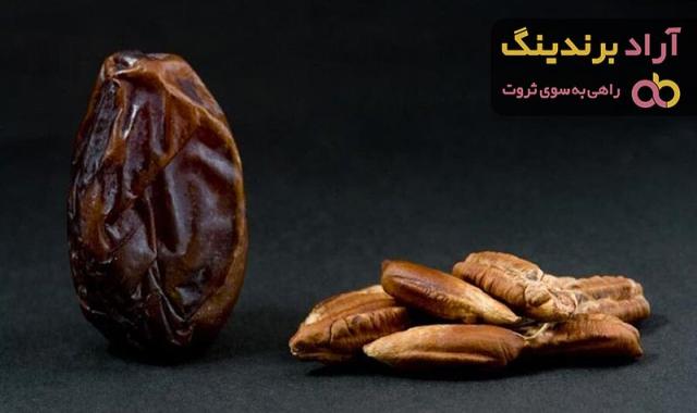 هسته خرما (Date kernel) + قیمت خرید عالی