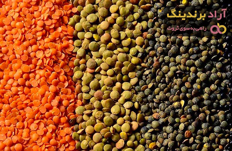 عدس ایرانی | خرید انواع عدس ایرانی در بسته بندی های مختلف