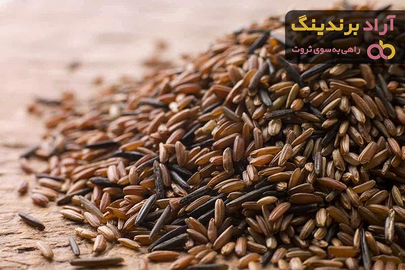 قیمت خرید برنج قهوه ای خارجی + راهنمای استفاده
