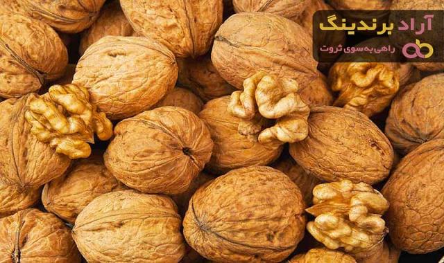 تجارت و صادارت گردو + قیمت خرید و فروش روز