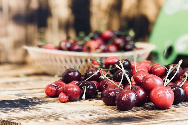 قیمت چوب گیلاس نجاری + خرید و فروش عمده