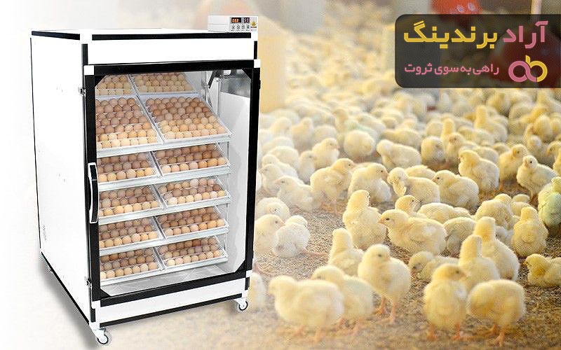 خرید و قیمت روز دستگاه جوجه کشی