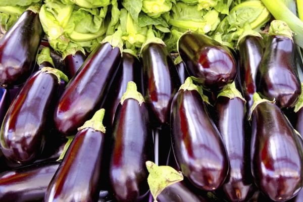 قیمت خرید بادمجان سرخ شده فریزری + خواص، معایب و مزایا