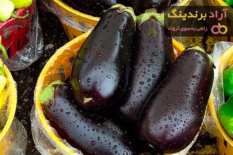 لیست قیمت بادمجان فرانسوی ۱۴۰۱