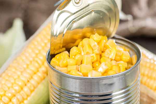 کنسرو ذرت برای لاغری + آیا کنسرو ذرت چاق میکنه؟