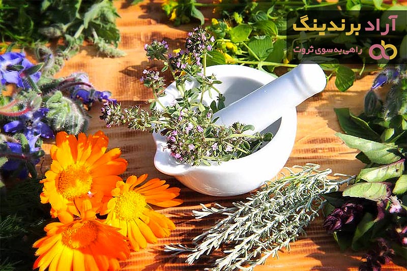 گیاهان دارویی برای کبد چرب (Medicinal herbs for fatty liver) + قیمت خرید عالی