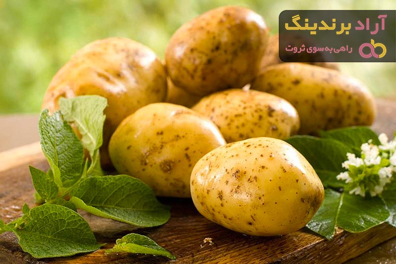 قیمت خرید سیب زمینی شیرین کره ای + عکس