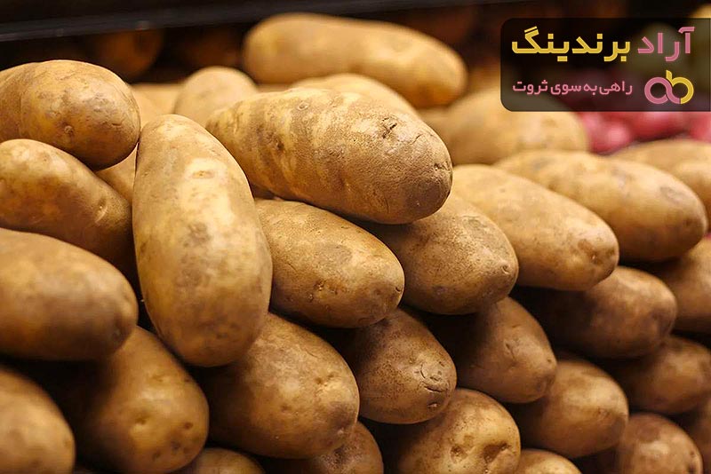 سیب زمینی شیرین از کجا بخرم؟ + قیمت خرید