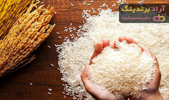 خرید برنج دانه بلند ابرانی با قیمت استثنایی