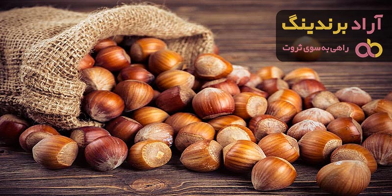 قیمت فندق اشکورات + بهترین قیمت خرید روز فندق اشکورات با جدیدترین لیست قیمت فروش