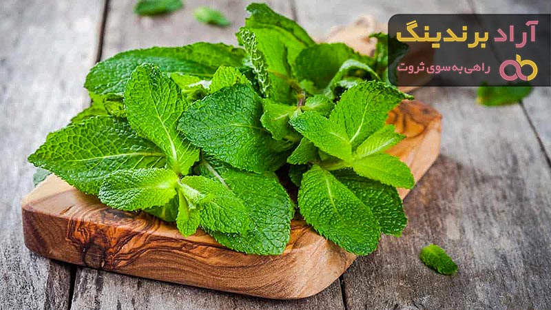 قیمت خرید عرق نعنا + فروش در تجارت و صادرات