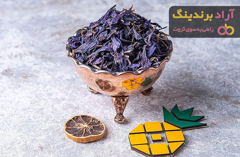 گل گاوزبان ایرانی | فروشندگان قیمت مناسب گل گاوزبان ایرانی