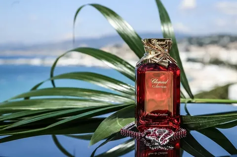 خرید ادکلن مردانه اصل فرانسه  با قیمت استثنایی