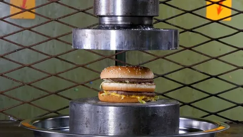 آشنایی با همبرگر زن فلزی + قیمت استثنایی خرید همبرگر زن فلزی