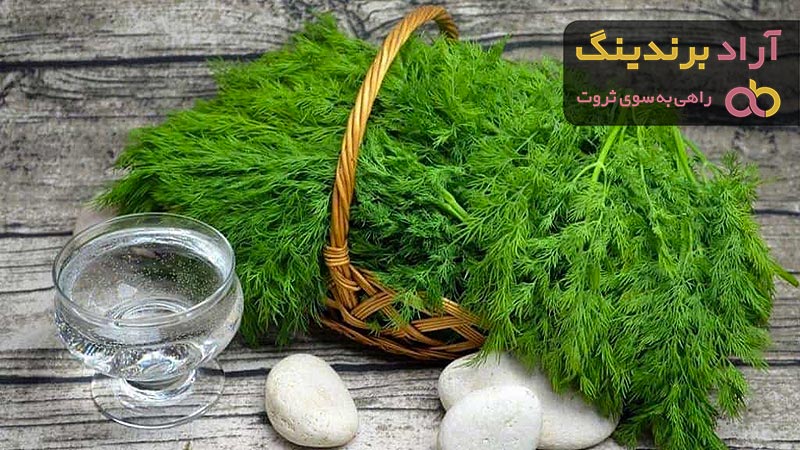 قیمت خرید عرق شوید از تولید به مصرف به صورت عمده و تک فروشی