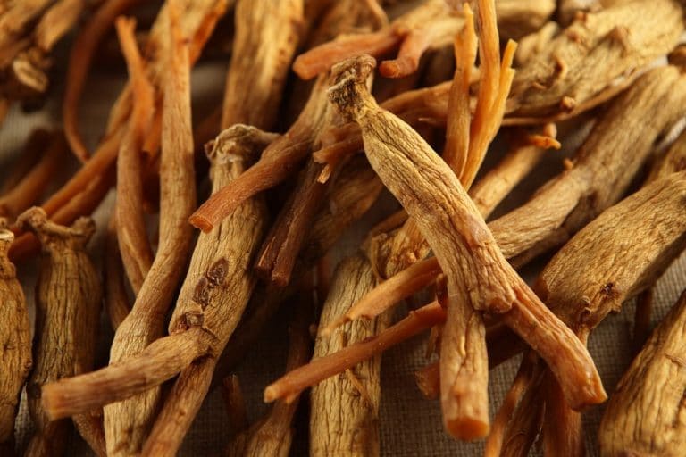 معرفی جنسینگ قرمز اصل + بهترین قیمت خرید