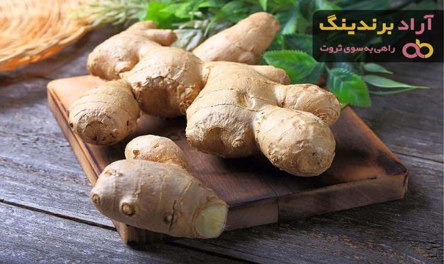 خرید انواع زنجبیل تازه با بهترین قیمت