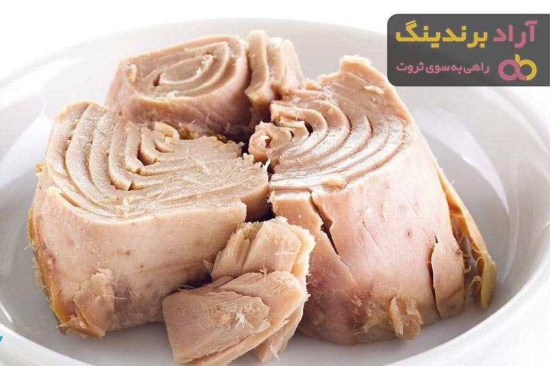 خرید بهترین انواع تن ماهی 200 گرمی با قیمت ارزان