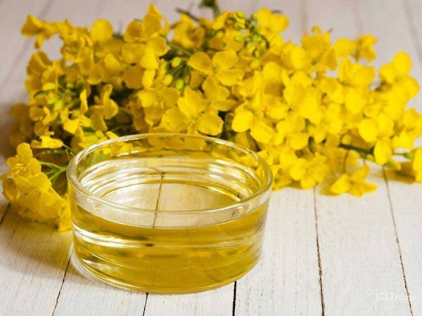 بهترین روغن کلزا اصل + قیمت خرید عالی