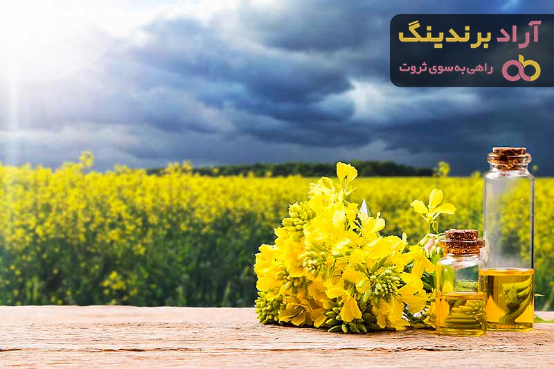 خرید انواع روغن کلزا در طب سنتی + قیمت