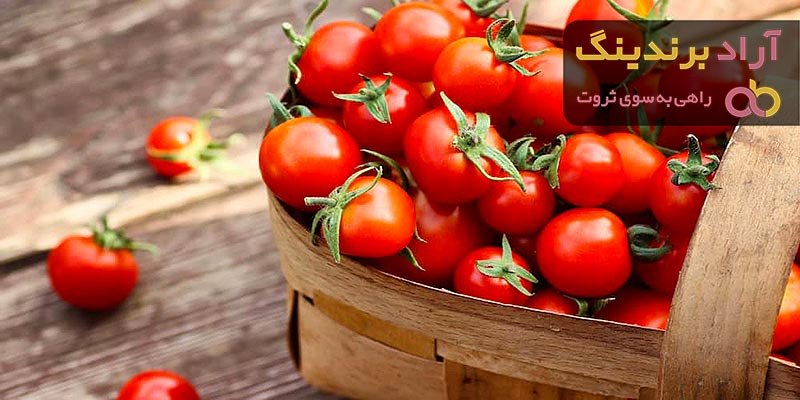 خرید بهترین انواع گوجه فرنگی گلخانه با قیمت ارزان