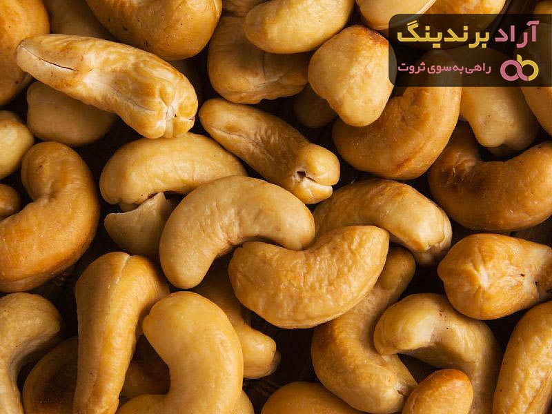 قیمت بادام هندی تازه + مشخصات بسته بندی عمده و ارزان