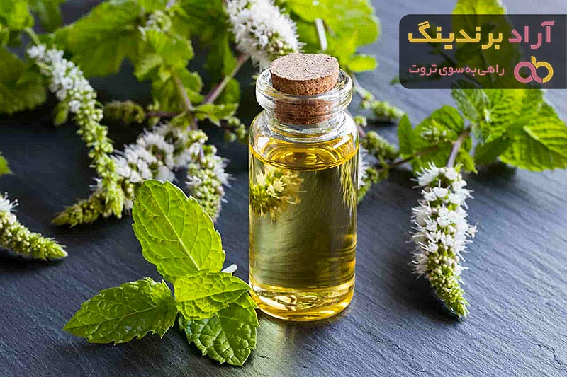 خرید عرق نعناع طبیعی | فروش انواع عرق نعناع طبیعی با قیمت مناسب