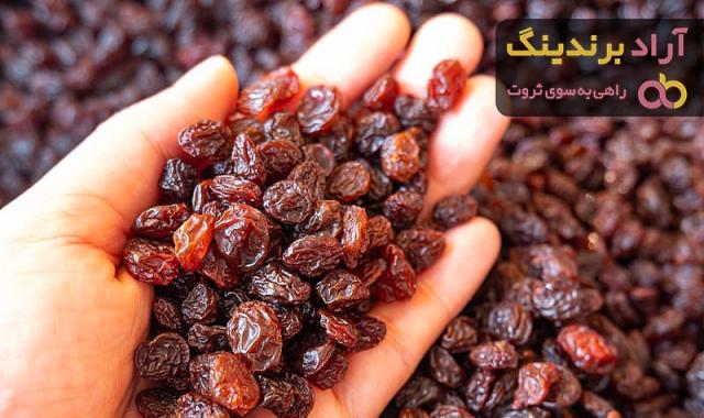 خرید انواع کشمش پلویی ملایر + قیمت