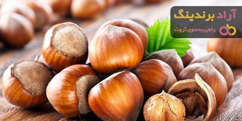 بهترین فندق بو داده کدام است؟ + مقایسه کامل | قیمت عالی