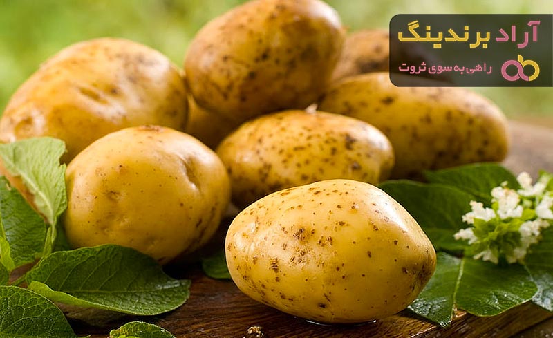 خرید بهترین انواع سیب زمینی اردبیل با قیمت ارزان