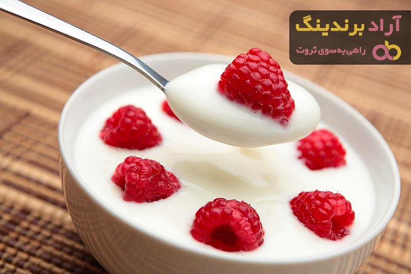 لیست قیمت ماست خانگی رژیمی چکیده ۱۴۰۱