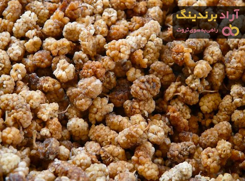 قیمت خرید توت خشک اعلا + خواص، معایب و مزایا