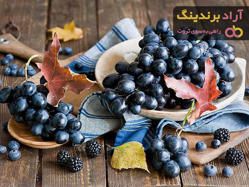 بلوبری خشک | فروشندگان قیمت مناسب بلوبری خشک
