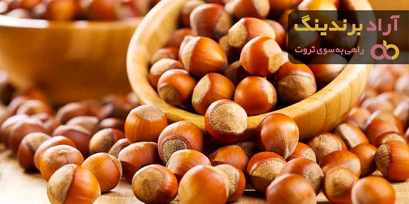 مناسب ترین قیمت فندق در دی ۱۴۰۱