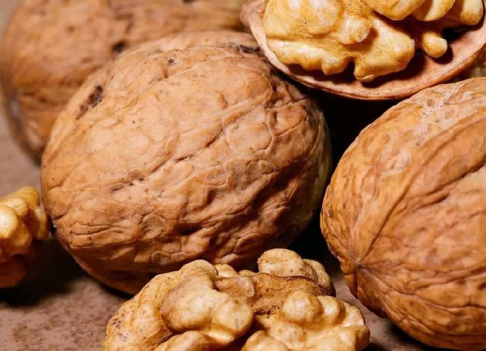 قیمت گردو سوزنی + خرید و لیست قیمت روز گردو سوزنی دی ۱۴۰۱