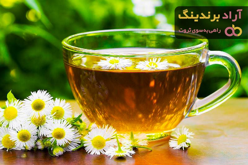 خرید بهترین انواع دمنوش بابونه با قیمت ارزان