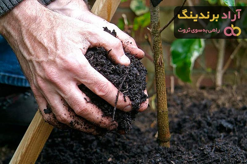 کود آهن برای چه گیاهانی مفید است + قیمت خرید