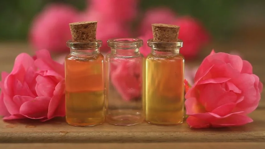 خرید و قیمت روز گل محمدی امسالی