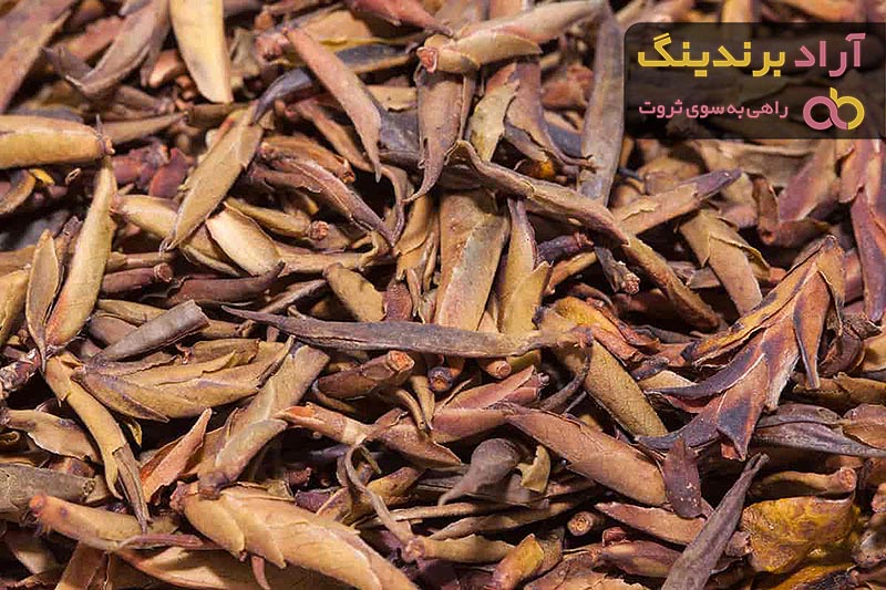 معرفی کپسول ریشه سنبل الطیب + بهترین قیمت خرید