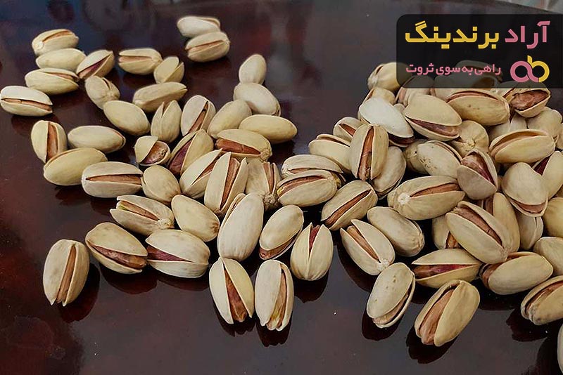 بهترین پسته کله قوچی خام + قیمت خرید عالی