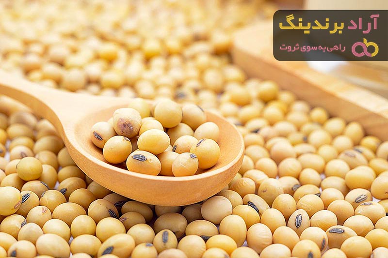 قیمت خرید دانه سویا اعلا + تست کیفیت