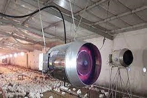 مشعل مرغداری چیست؟ + قیمت خرید مشعل مرغداری