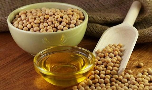 روغن سویا خانگی | فروشندگان قیمت مناسب روغن سویا خانگی