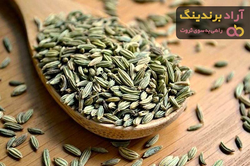 آشنایی با رازیانه + قیمت استثنایی خرید رازیانه