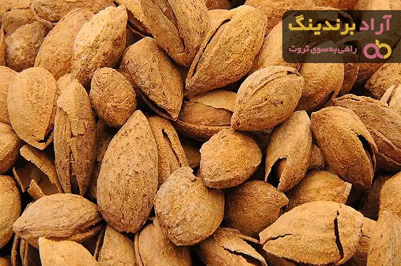 خرید بادام پوست کاغذی برای کودکان + بهترین قیمت